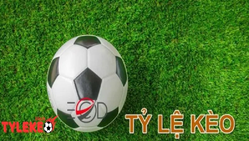 Giới Thiệu Tỷ Lệ Kèo Giới Thiệu Lộ Trình Tương Lai – Phát Triển Không Ngừng Nghỉ