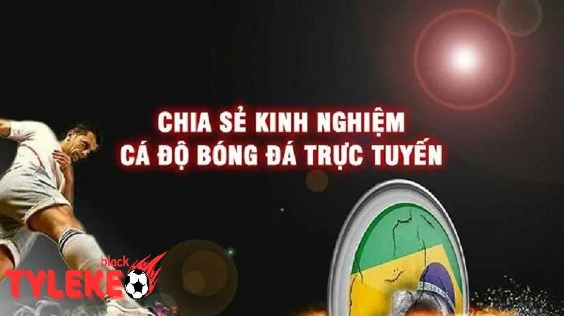 Mẹo Cá Cược Bóng Đá - Bí Quyết Làm Tăng Tỷ Lệ Thắng Mẹo Cá Cược Bóng Đá: Luôn Học Hỏi và Cải Thiện