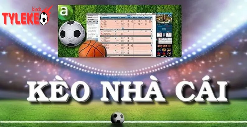 Soi Kèo Nhà Cái - Bí Quyết Tăng Tỷ Lệ Thắng Cược Hấp Dẫn Soi Kèo Nhà Cái và Tương Lai Cá Cược